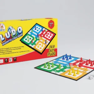 magnetic ludo game