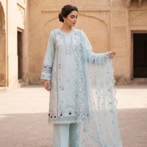 Light Blue Embroidered Suit