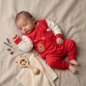Cute Red Bear Newborn Baby Dress